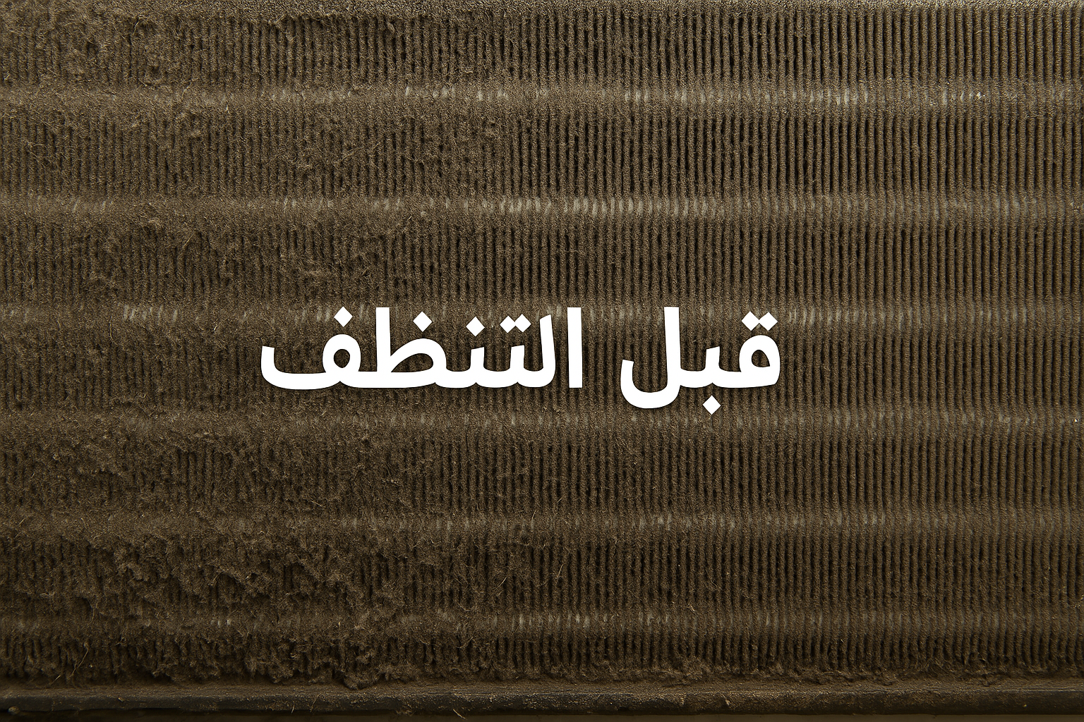 قبل التنظيف